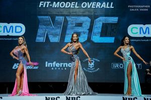 FIT-MODEL OVERALL